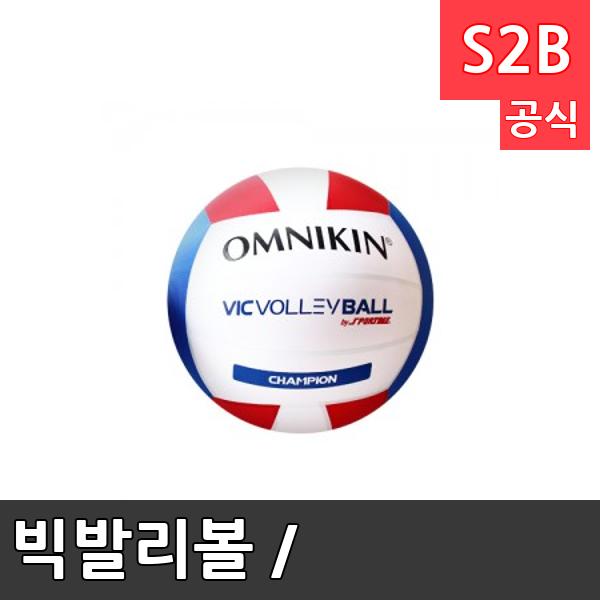 Ÿ ߸ / ⺻6 豸/ũ 50cm 18ġ/  /Vicvolleyball1/sm/бü//ｺ//÷ 11216 2312